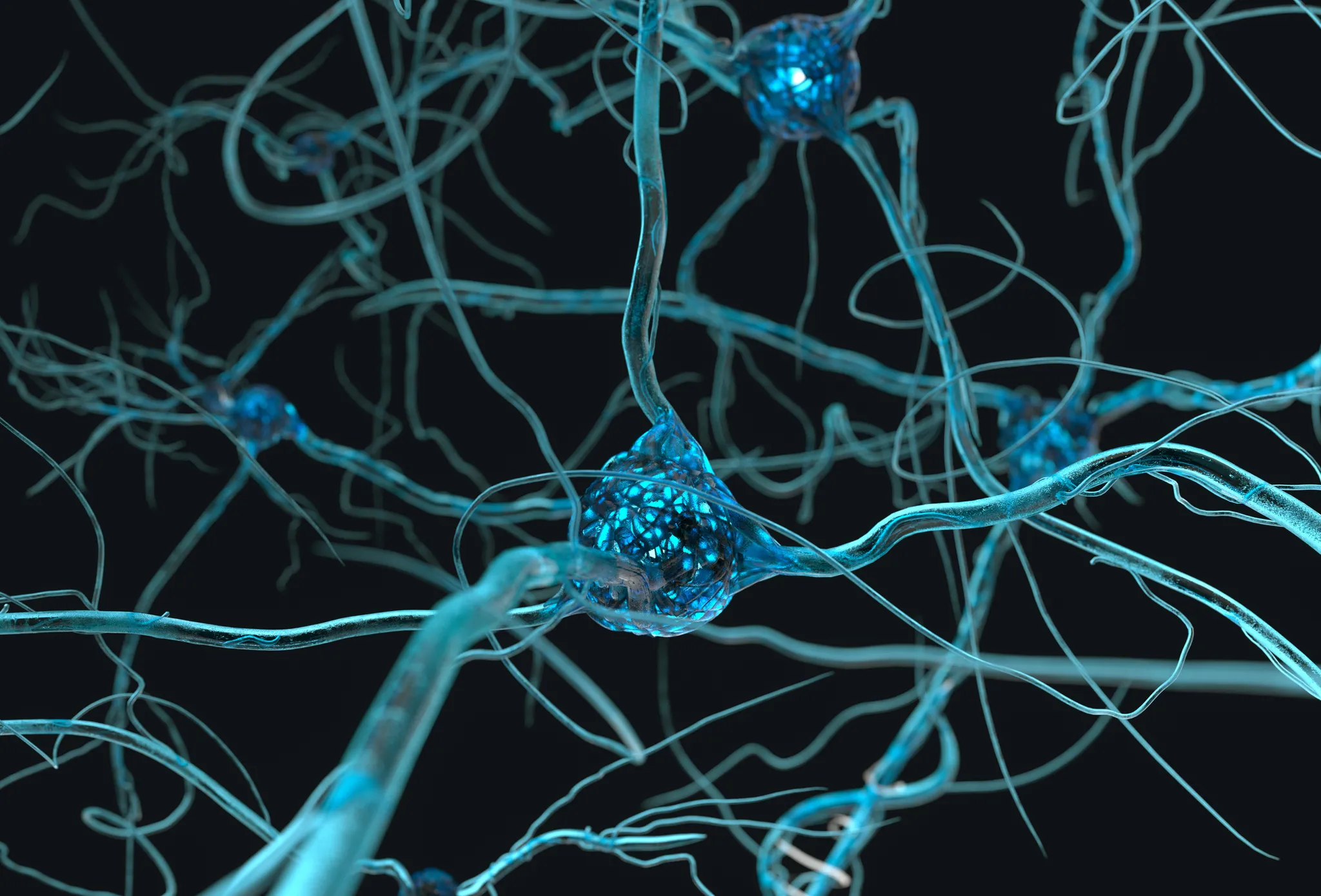 Neurones et neuroplasticité